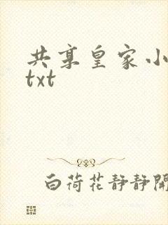 共享皇家小公主txt