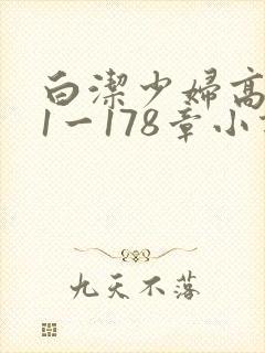 白洁少妇高义第1一178章小说