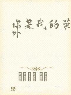 你是我的荣耀番外封面