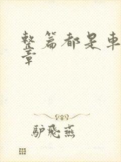 整篇都是车的文章