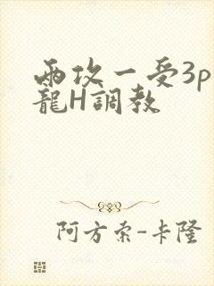 两攻一受3p双龙H调教