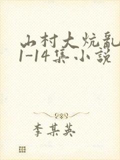 山村大炕乱肉续1-14集小说封面