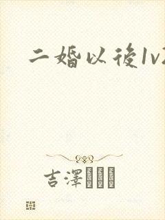 二婚以后1v2封面