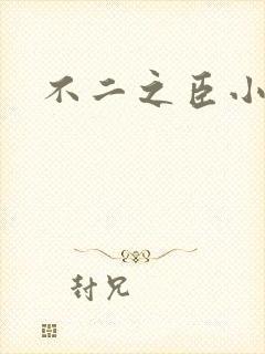 不二之臣小说
