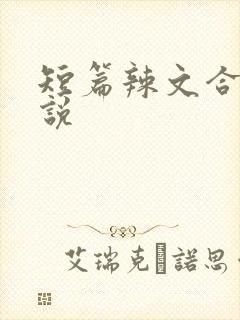 短篇辣文合集小说封面