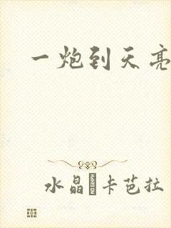 一炮到天亮封面