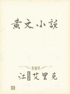 黄文小说封面