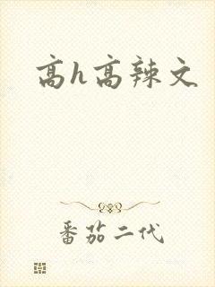 高h高辣文封面