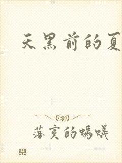 天黑前的夏天