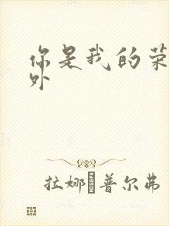 你是我的荣耀番外