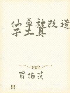 仙尊被改造成产子工具封面