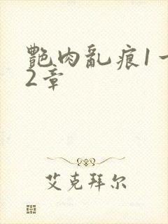 艳肉乱痕1一12章封面