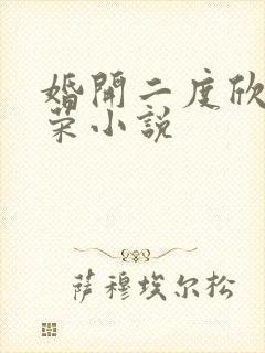 婚开二度欣欣向荣小说