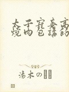 太子宠妾高肉红烧肉包讲的什么