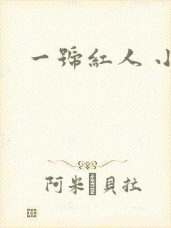 一号红人 小说封面