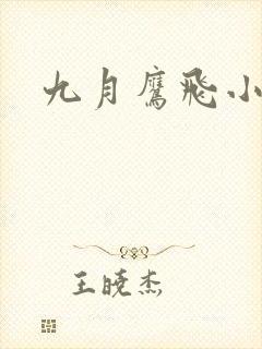 九月鹰飞小说