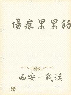 伤痕累累的勋章封面