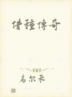 借种传奇封面