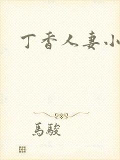 丁香人妻小说封面