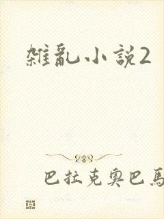 杂乱小说2