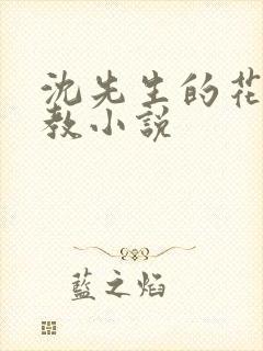 沈先生的花式调教小说