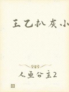 王乙扒灰小说封面