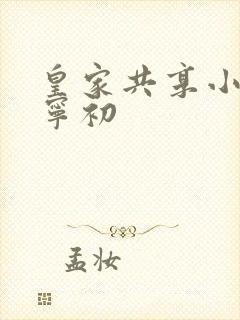 皇家共享小公主宁初封面