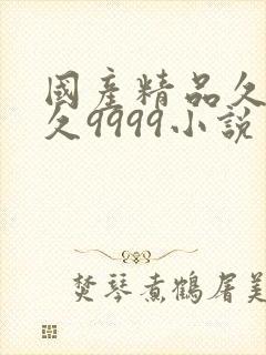 国产精品久久久久9999小说