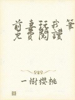 前妻玩我笔趣阁免费阅读