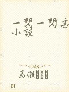 一闪一闪亮星星小说