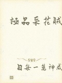 极品采花贼封面