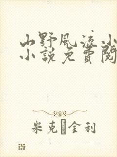 山野风流小神医小说免费阅读封面