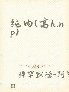 纯肉(高h.np)