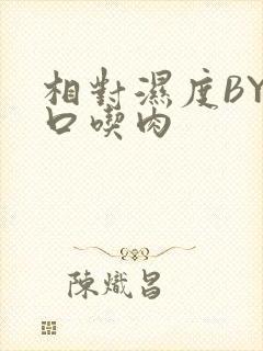 相对湿度BY大口吃肉