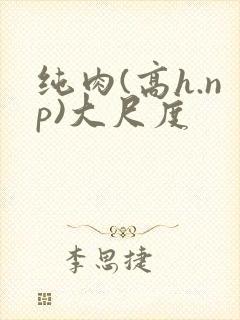 纯肉(高h.np)大尺度