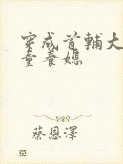 穿成首辅大人的童养媳封面