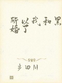 所以我和黑粉结婚了