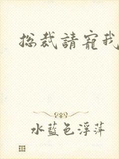 总裁请宠我封面