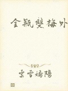 金瓶双梅外传封面