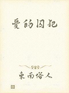 爱的囚犯封面