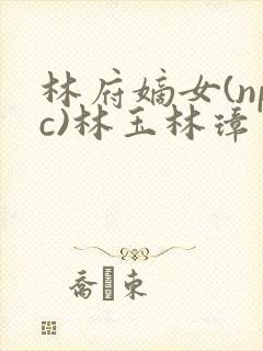 林府嫡女(npc)林玉林璋