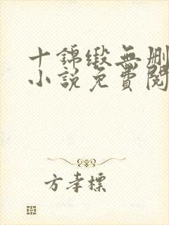 十锦缎无删原著小说免费阅读封面