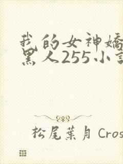 我的女神娇妻与黑人255小说