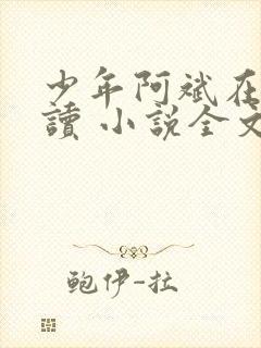少年阿斌在线阅读 小说全文免费