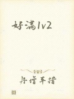 好满1v2