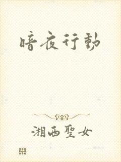 暗夜行动