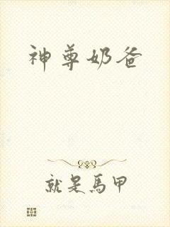 神尊奶爸封面