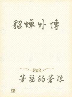 貂蝉外传封面