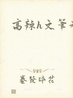 高辣h文笔趣阁