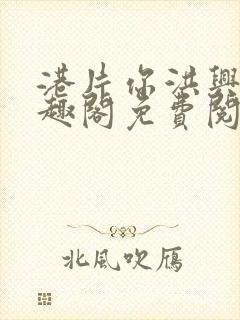 港片你洪兴仔笔趣阁免费阅读全文